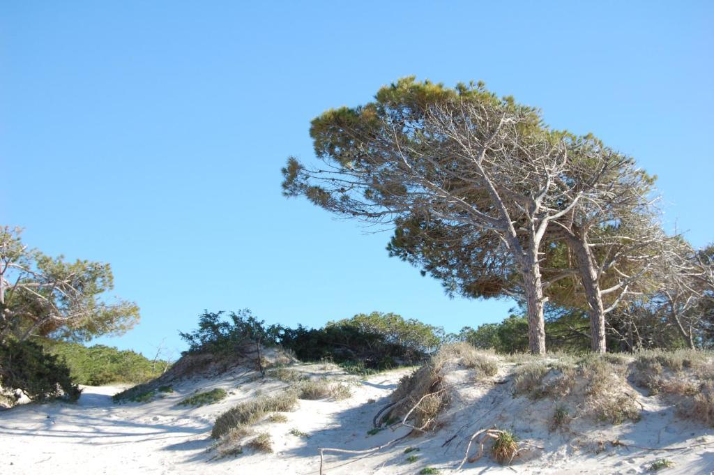 Gardenia Casa Vacanze Αλγκέρο Εξωτερικό φωτογραφία